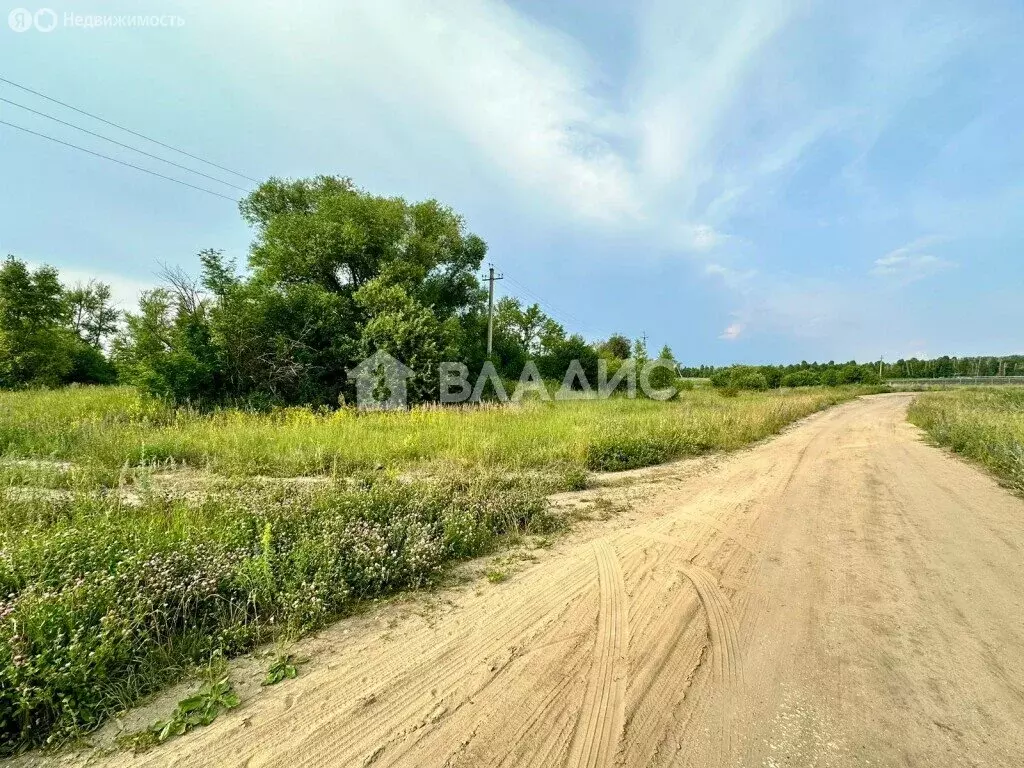 Участок в Мокшанский район, село Симбухово, Рабочая улица, 5 (153.41 ... - Фото 0