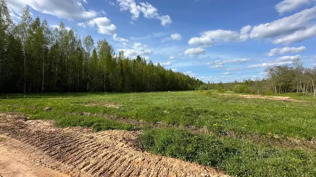 Участок в Новгородская область, Маловишерское городское поселение, д. ... - Фото 0