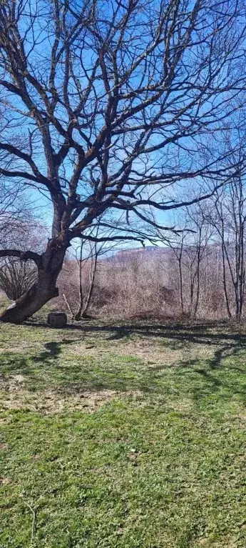 Участок в Адыгея, Майкопский район, Даховское с/пос, пос. Усть-Сахрай  ... - Фото 1