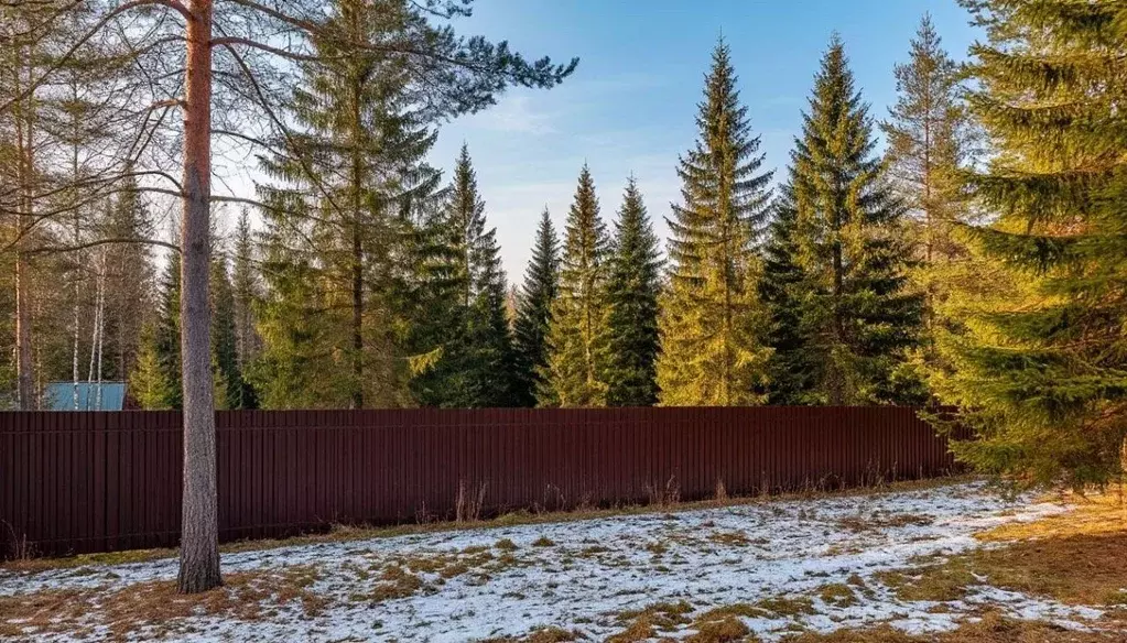 Участок в Московская область, Рузский муниципальный округ, с. ... - Фото 1