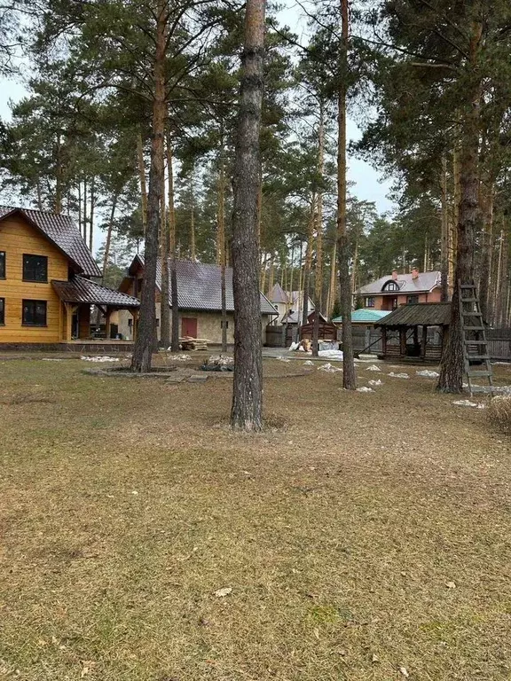 Участок в Новосибирская область, Новосибирский район, Кудряшовский ... - Фото 1