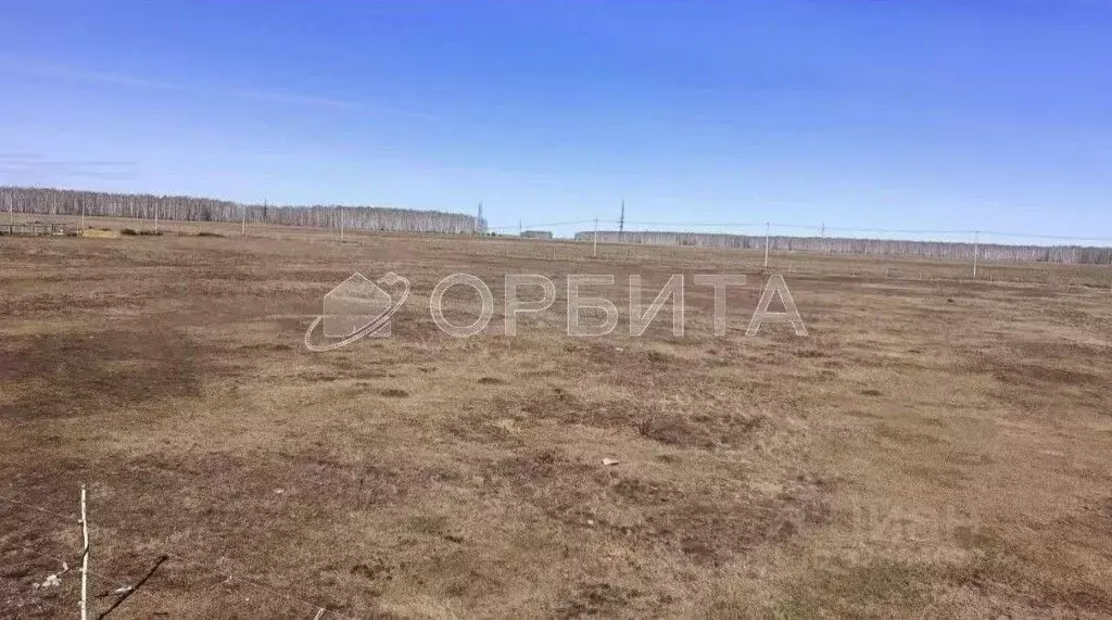 Участок в Тюменская область, Нижнетавдинский муниципальный округ, ... - Фото 1