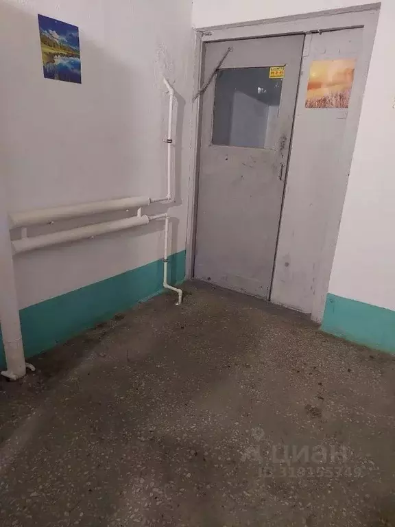 3-к кв. Омская область, Омск ул. Лукашевича, 14/2 (62.6 м) - Фото 1