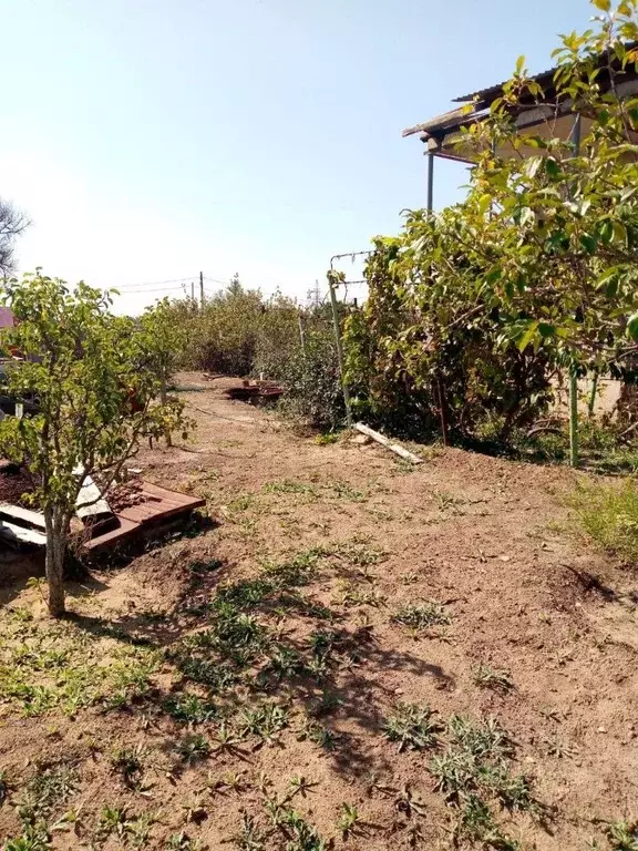 Участок в Астраханская область, Астрахань Газовик садовое ... - Фото 2