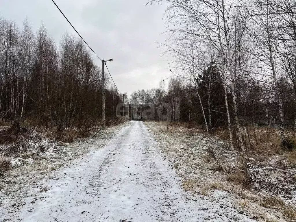 Участок в Московская область, Ступино городской округ, д. Кравцово ул. ... - Фото 1