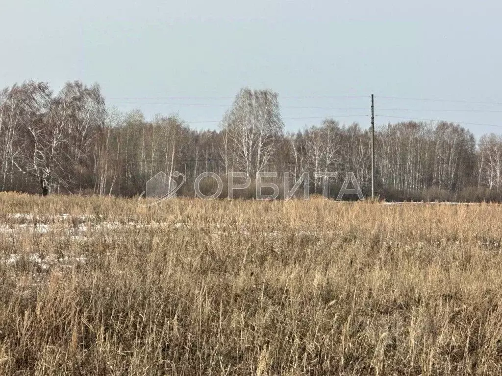 Участок в Тюменская область, Тюменский район, д. Елань  (7.0 сот.) - Фото 1