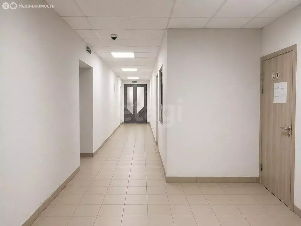Помещение свободного назначения (309 м) - Фото 2