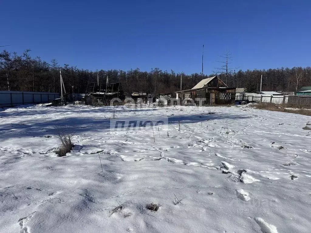 Участок в Забайкальский край, Читинский район, с. Преображенка ... - Фото 2