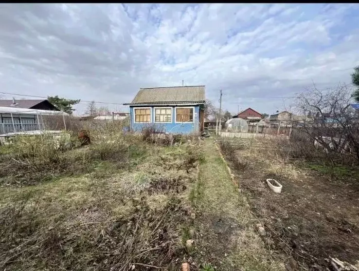 Дом в Омская область, Омск СОСН Сибирский садовод-1 тер., аллея 8-я ... - Фото 1