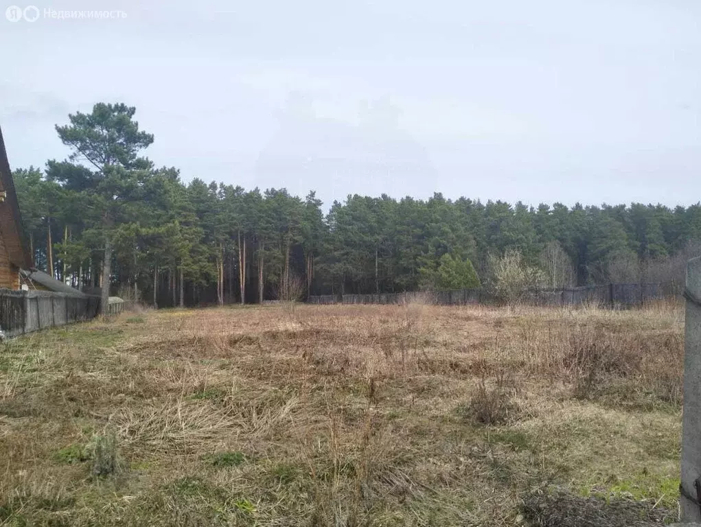 Участок в село Никольское, Октябрьская улица, 8 (17.2 м) - Фото 1