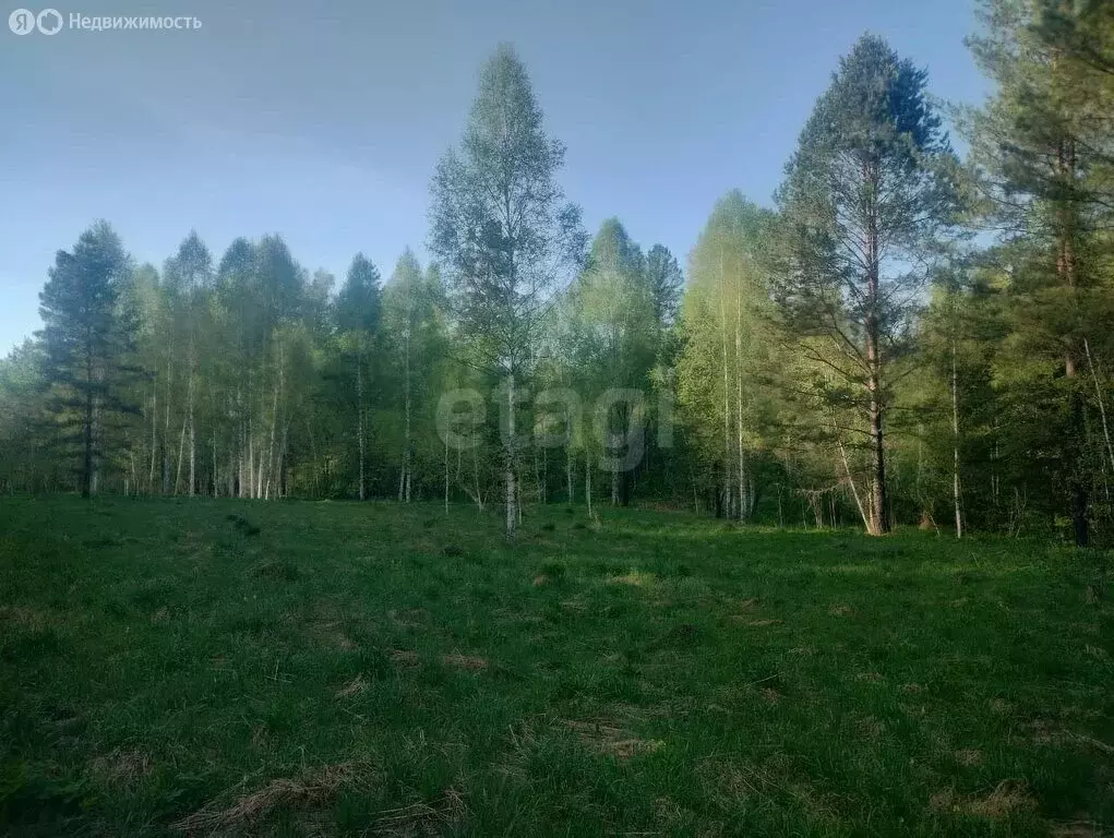 Участок в Турочакский район, село Турочак (15000 м) - Фото 1