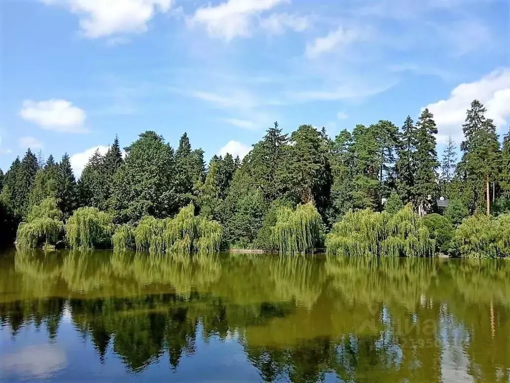 Участок в Московская область, Одинцовский городской округ, д. Бородки, ... - Фото 1