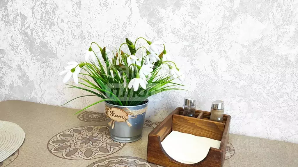 2-к кв. Московская область, Кашира городской округ, д. Барабаново ул. ... - Фото 2