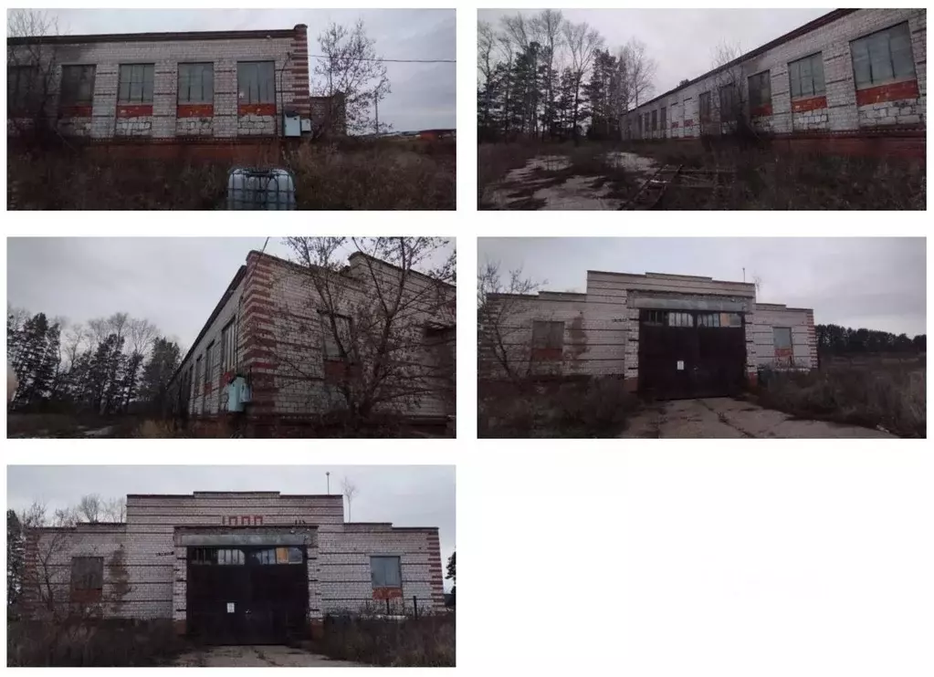 Помещение свободного назначения в Удмуртия, Сарапульский район, с. ... - Фото 1