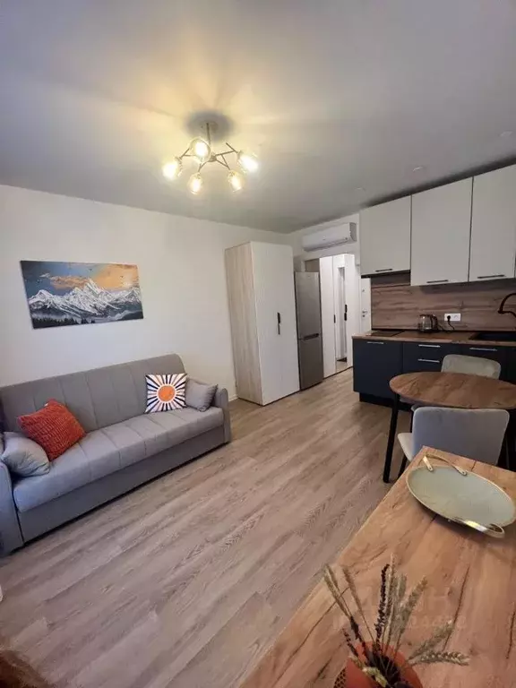 Студия Москва Муравская ул., 38Бк3 (20.0 м) - Фото 2