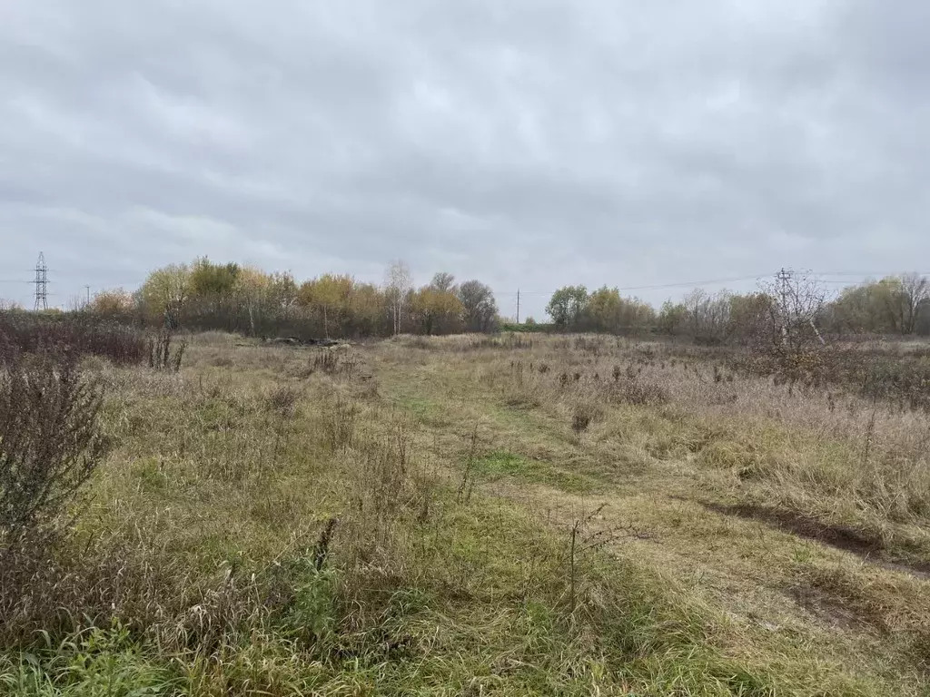 Участок в Московская область, Луховицы муниципальный округ, с. Ловцы  ... - Фото 2