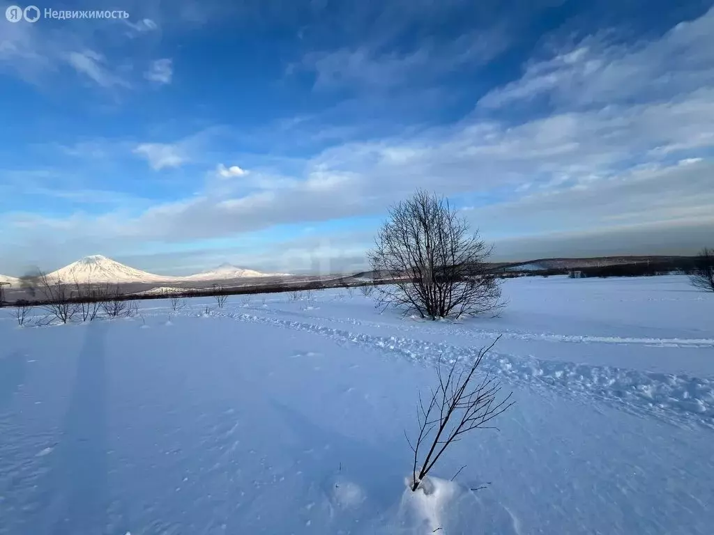 Участок в Камчатский край, Елизовский муниципальный округ, СНТ ... - Фото 1