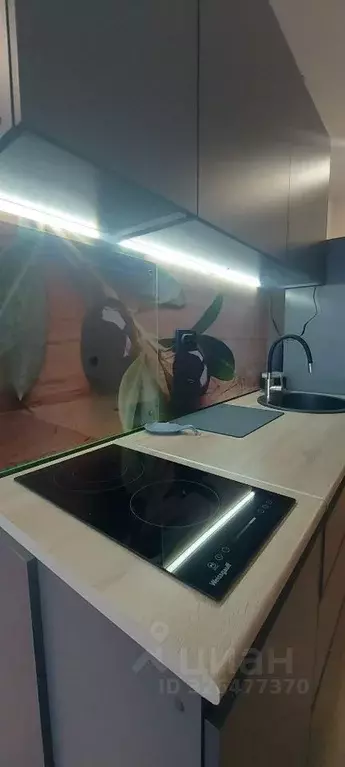 Студия Санкт-Петербург бул. Головнина, 4 (22.0 м) - Фото 1