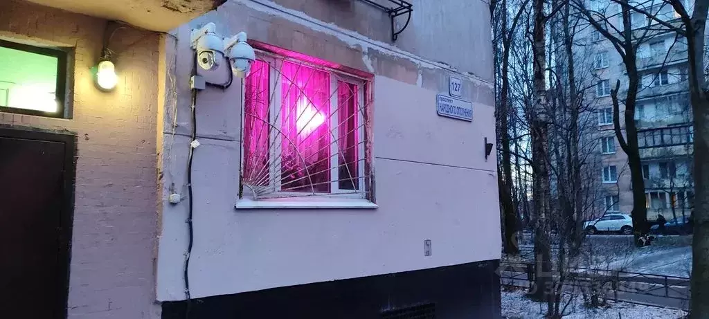 Комната Санкт-Петербург просп. Народного ополчения, 127 - Фото 2