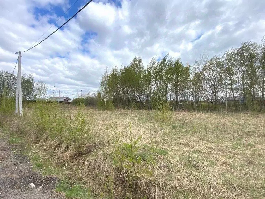 Участок, 1310 сот., сельхоз (снт или днп) - Фото 0