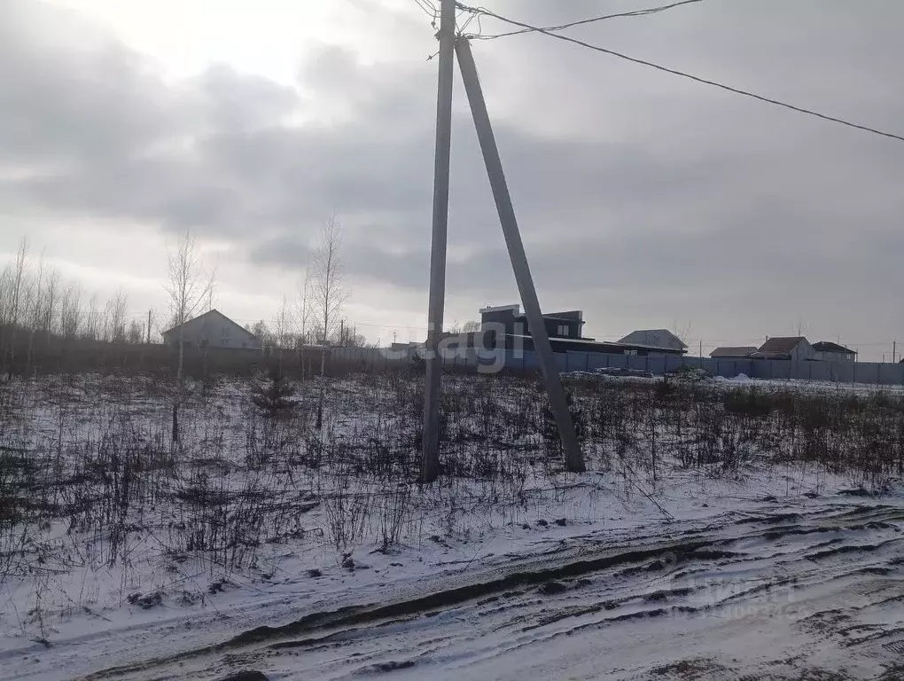 Участок в Курская область, Железногорский район, Разветьевский ... - Фото 0