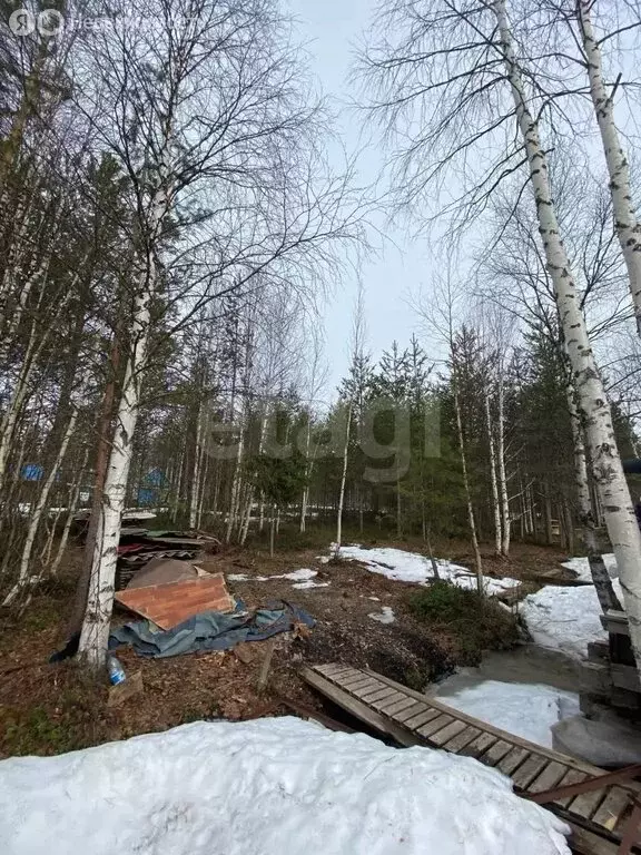Участок в Архангельская область, Приморский муниципальный округ, СНТ ... - Фото 2