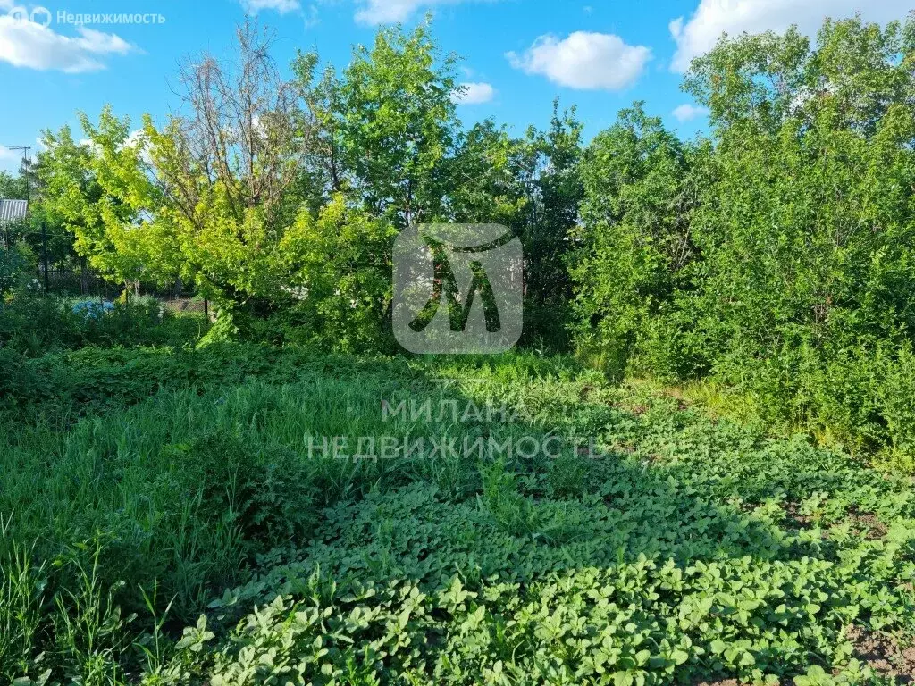 Дом в Нежинский сельсовет, СНТ Наука, Калиновая улица, 134 (42.4 м) - Фото 0