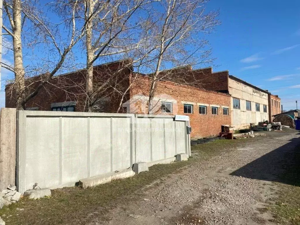 Помещение свободного назначения в Новосибирская область, Каргат ул. ... - Фото 1