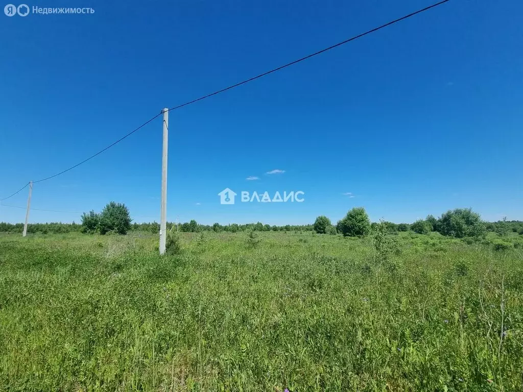 Участок в Владимирская область, Суздаль (12 м) - Фото 2