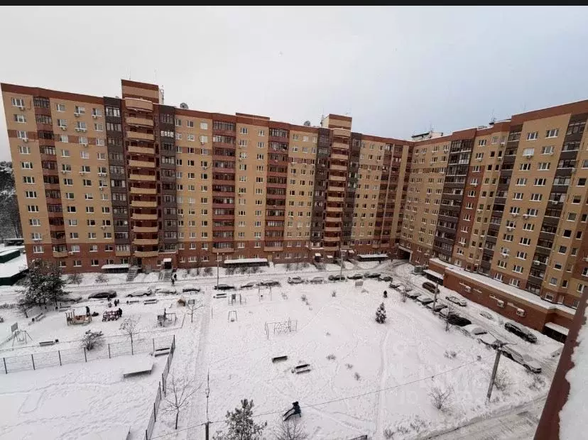 1-к кв. Московская область, Богородский городской округ, д. Щемилово ... - Фото 1