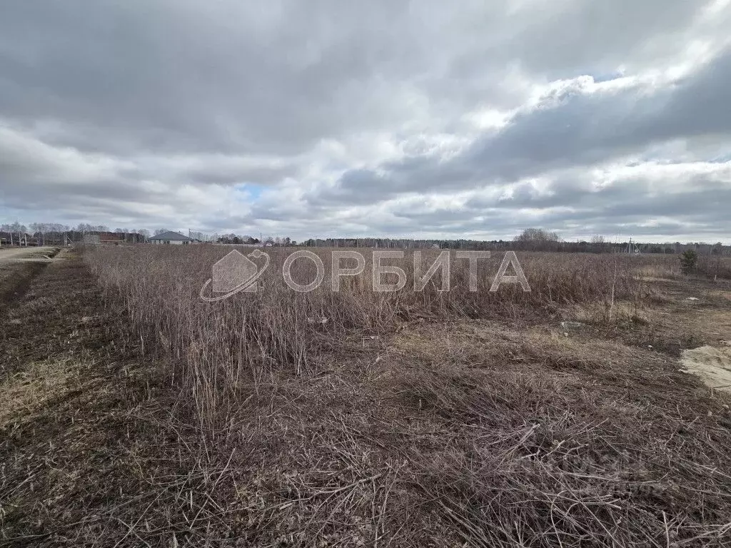 Участок в Тюменская область, Тюмень Садовое товарищество Липовый ... - Фото 2