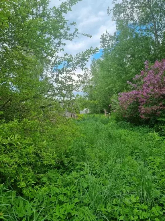 2-к кв. Калининградская область, Славск ул. Ленина, 27 (44.6 м) - Фото 1