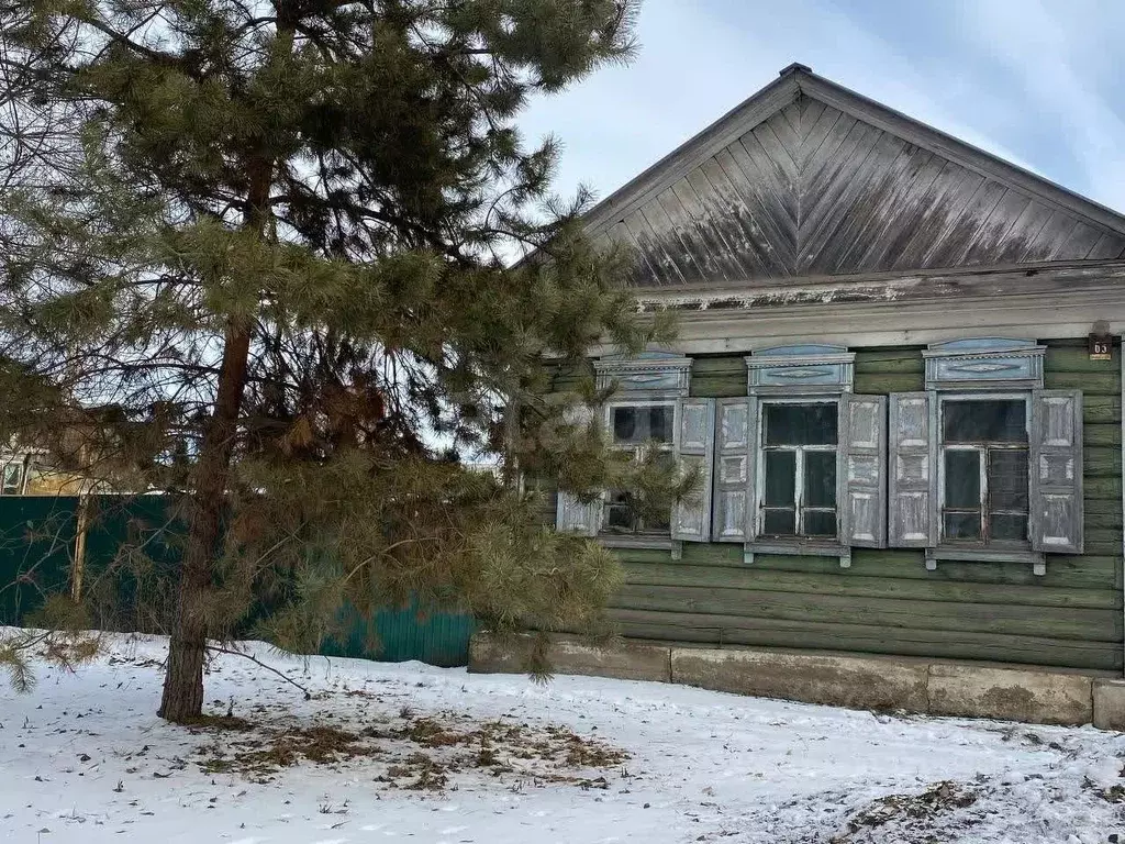 Дом в Амурская область, Благовещенск Новая ул., 63 (42 м) - Фото 1