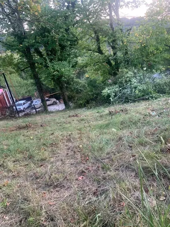 Участок в Краснодарский край, Сочи городской округ, с. Верхний Юрт ул. ... - Фото 1
