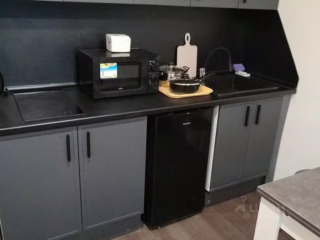 1-к кв. Санкт-Петербург ул. Пейзажная, 24к3 (21.0 м) - Фото 2