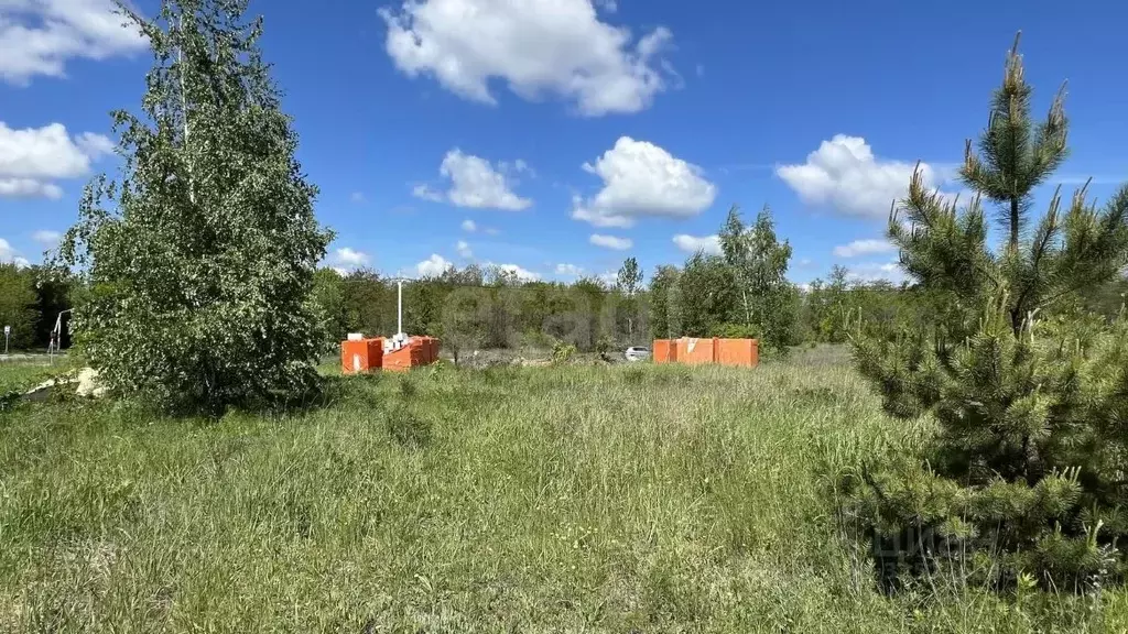 Участок в Белгородская область, Старый Оскол ул. Рубиновая (15.0 сот.) - Фото 1