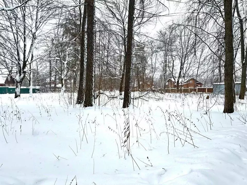 Участок в Московская область, Истра городской округ, д. Сокольники ул. ... - Фото 0