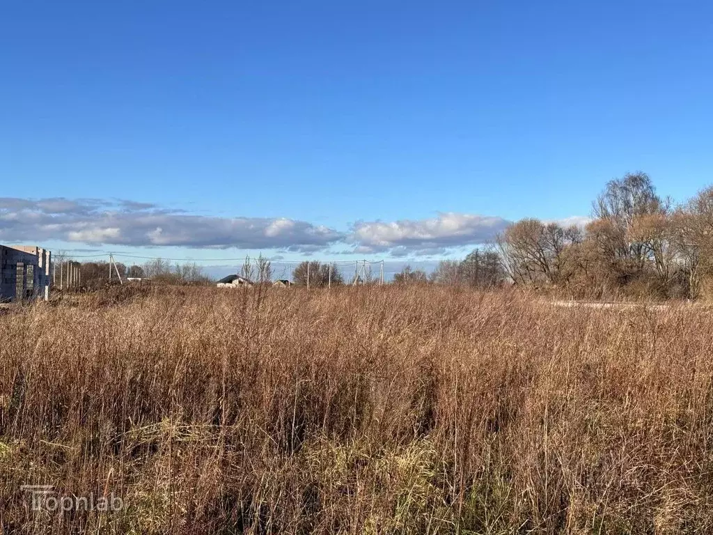 Участок в Калининградская область, Гурьевский муниципальный округ, ... - Фото 1
