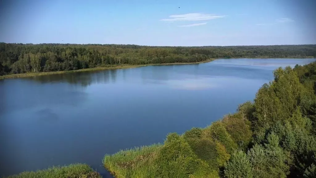 Участок в Новгородская область, Валдайский муниципальный район, ... - Фото 2