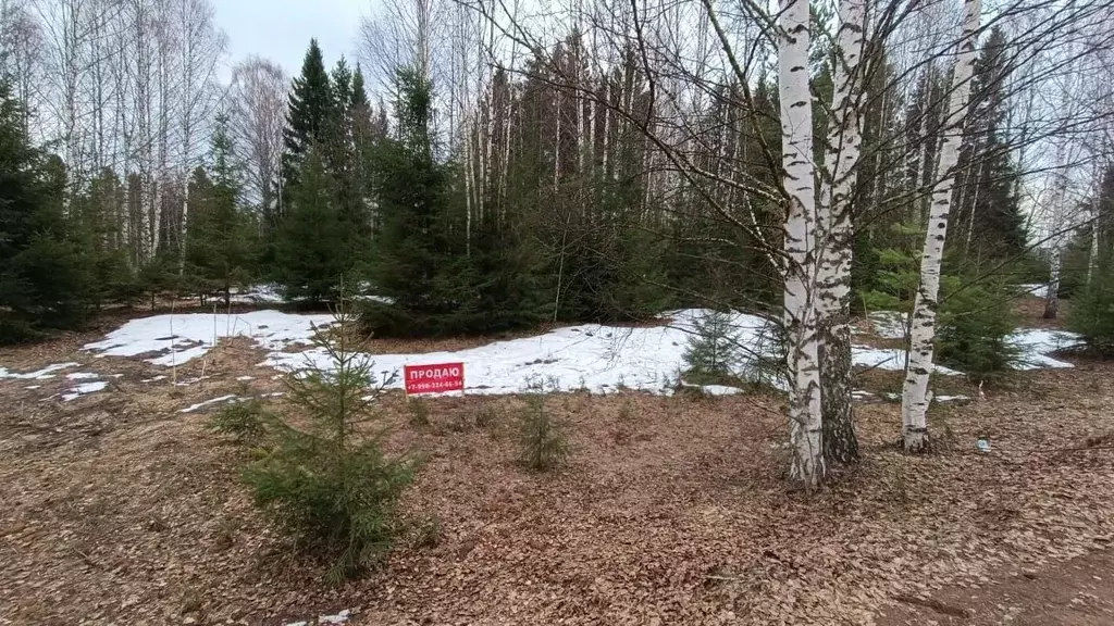 Участок в Пермский край, Нытвенский муниципальный округ, д. Дыбки  ... - Фото 2