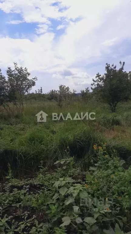 Участок в Воронежская область, Рамонский район, Новоживотинновское ... - Фото 1