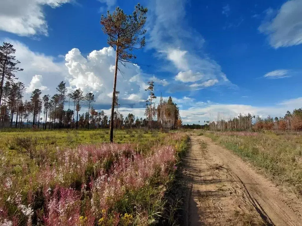 Участок в Забайкальский край, Читинский район, с. Смоленка  (40.0 ... - Фото 1