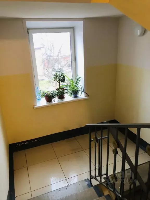 1-к кв. Костромская область, Кострома ул. Симановского, 75 (41.0 м) - Фото 1