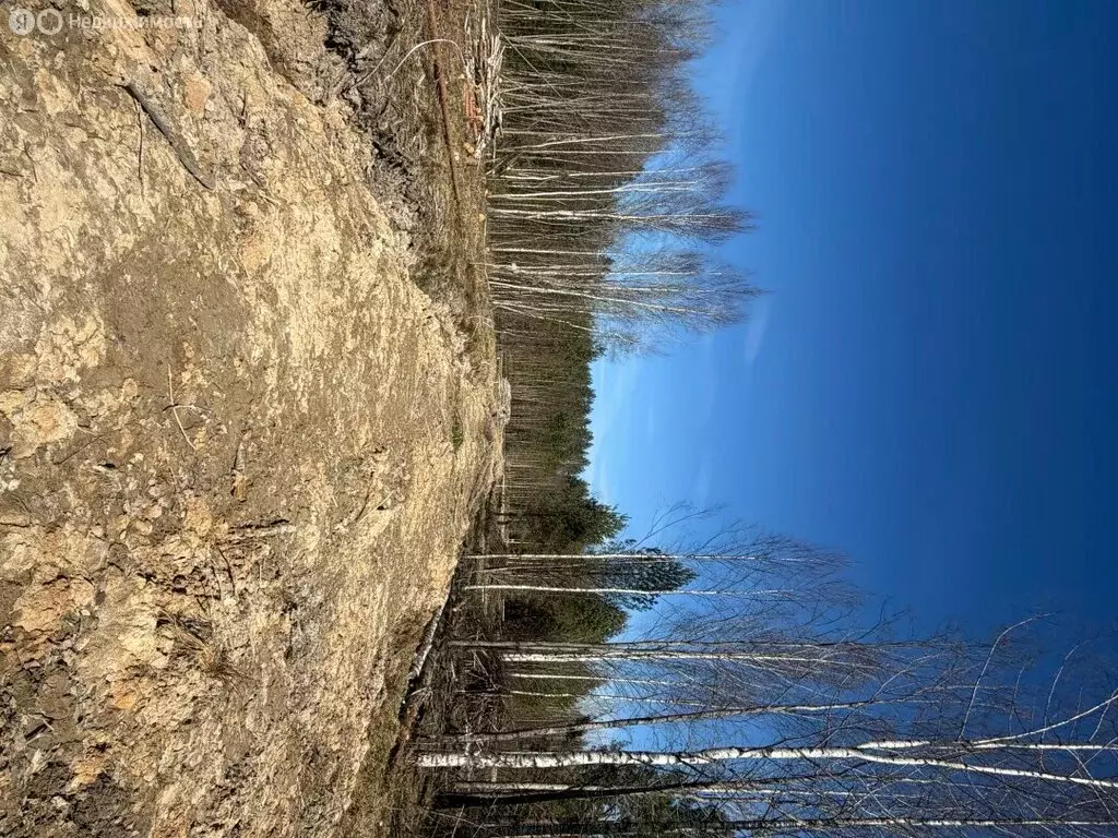 Участок в Ленинградская область, Тосно (11 м) - Фото 1