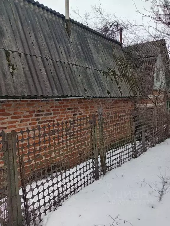 Дом в Белгородская область, Белгородский муниципальный округ, ... - Фото 1