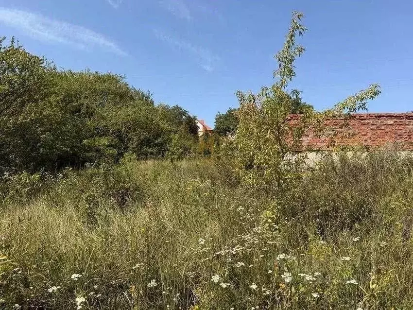Участок в Белгородская область, Белгородский район, Дубовское с/пос, ... - Фото 2
