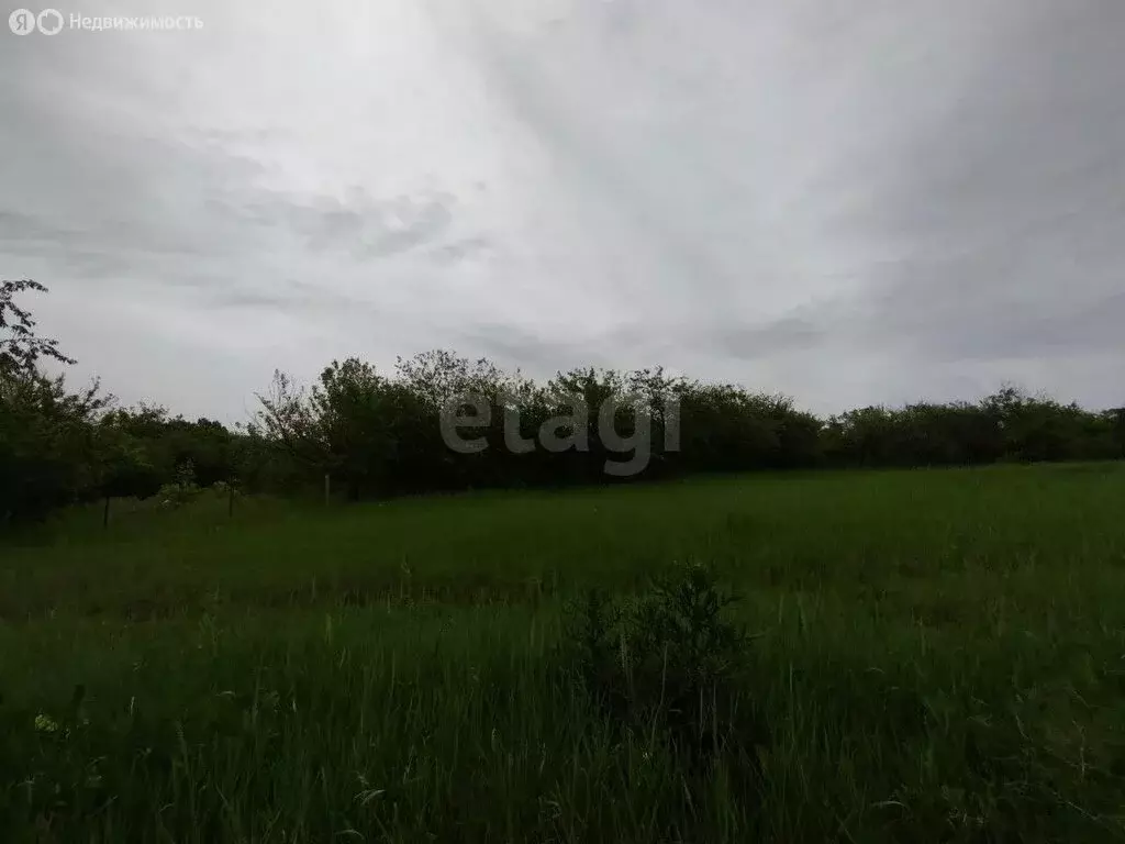 Участок в Беломестненское сельское поселение, садоводческое ... - Фото 1