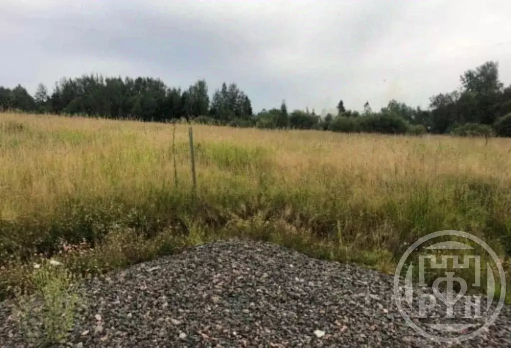 Участок в Ленинградская область, Всеволожский район, Лесколовское ... - Фото 2