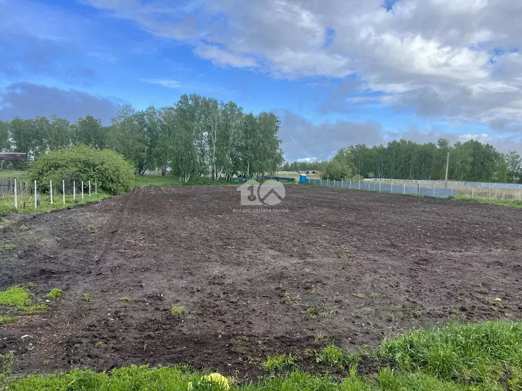 Участок в Новосибирская область, Коченевский район, д. Буньково  (30.0 ... - Фото 1