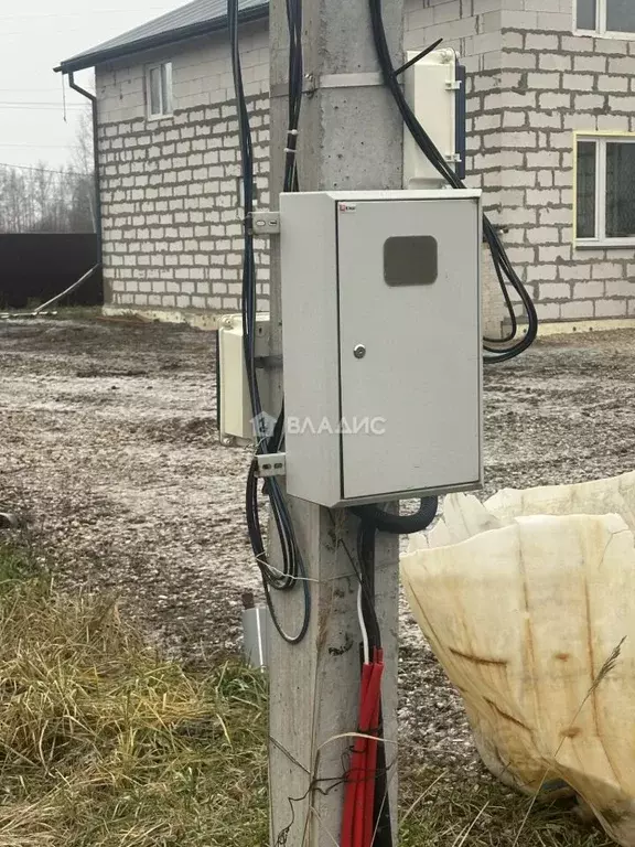 Участок в Владимирская область, Суздальский район, Новоалександровское ... - Фото 1